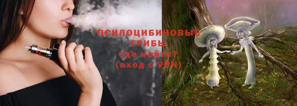 соль ск Алексин