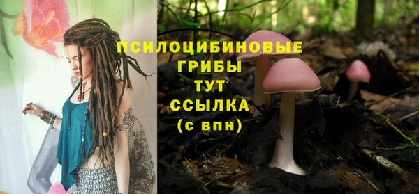 дживик Алексеевка