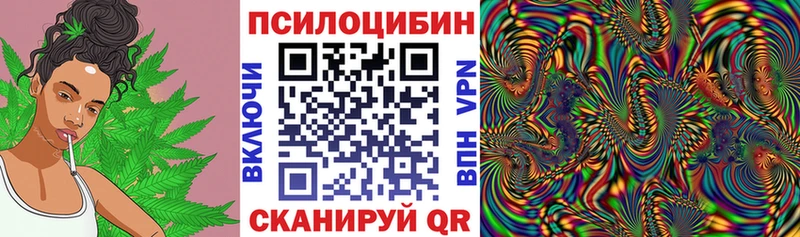 Галлюциногенные грибы Cubensis  маркетплейс наркотические препараты  Жигулёвск  кракен маркетплейс 